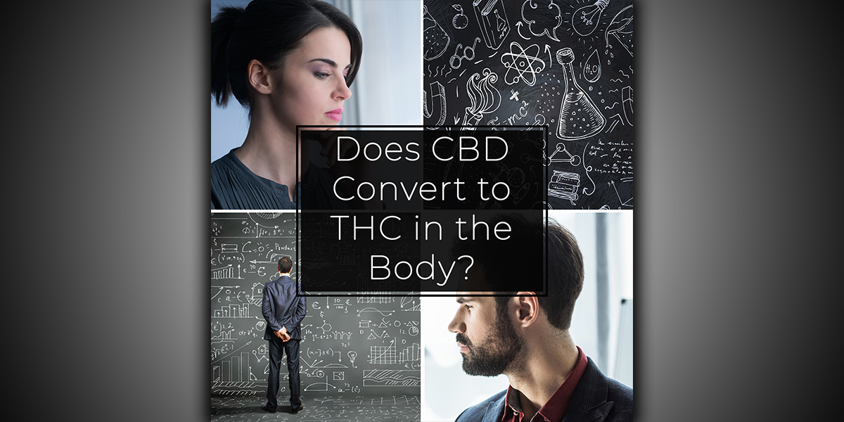 Does CBD Convert to THC in the Body