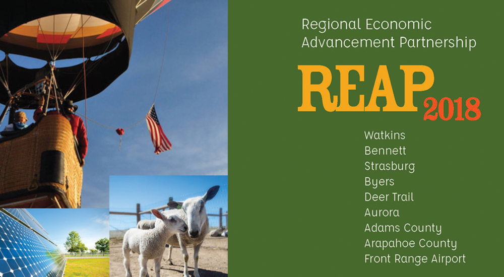 Kazmira Partners with REAP - Kazmira LLC